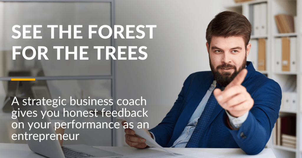 A strategic business coach will help you See the Forest for the Trees